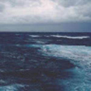 Meet your Posher, Sidney